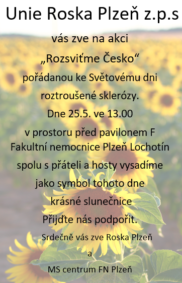 roska_rozsvitme_cesko.png